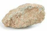 Martian Shergottite Meteorite ( g) - NWA #280952-2